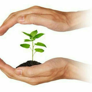 Telegram group profile photo for ОРГАНИК ДЕХҚОНЧИЛИК . AGRO . ORGANIKA . UZ