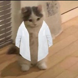 Telegram profile photo for ميمز راقين