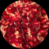 Telegram profile photo for BIO