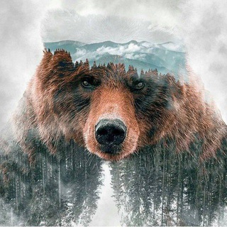 Telegram profile photo for Записки Волонтёра