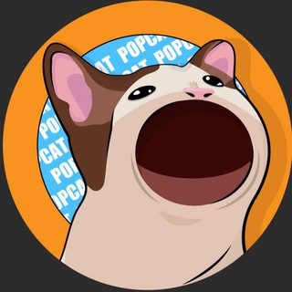 Telegram group profile photo for POPCat Token cn🇨🇳_谨防外面假群