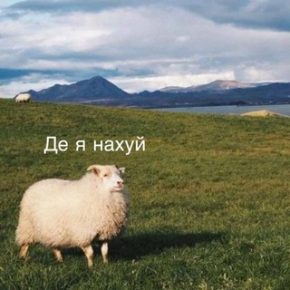 Telegram profile photo for баністика