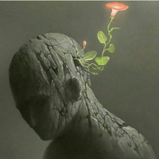 Telegram profile photo for کانال نسیم دانایی🕊🕊🕊💥💥