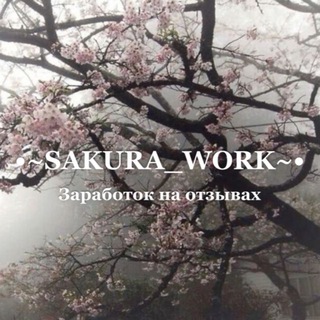 Telegram profile photo for •~SAKURA_WORK~•