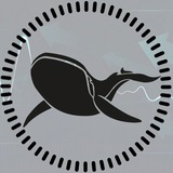 Telegram profile photo for BULLSTAR - CRYPTO NEWS