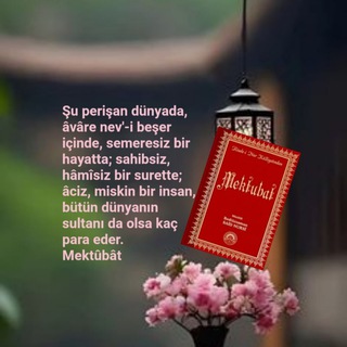 Telegram profile photo for Mektubat Dersleri (Yusuf Selami Hoca)