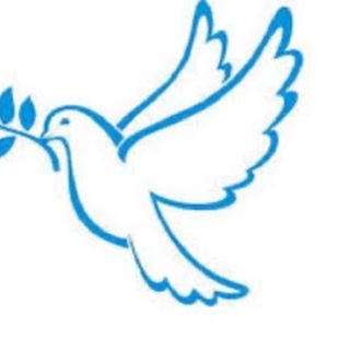Telegram profile photo for سرای امید🕊