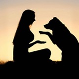 Telegram profile photo for 索女Dog Come 4.0