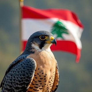 Telegram profile photo for فيديوهات اناشيد