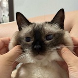 Telegram profile photo for Лаборатория ardays124