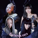 Telegram profile photo for BLACKPINK AREA