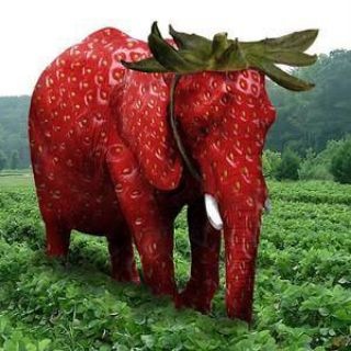 Telegram profile photo for Логово Лупастонковича 2 Toxic Waste Garbage
