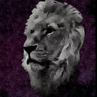 Telegram profile photo for S p a c e c h e e s E
