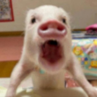 Telegram profile photo for блять, гіфки