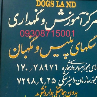 Telegram profile photo for 🐕iran_dogs_land🐕