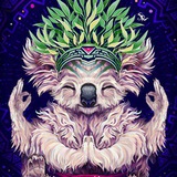 Telegram profile photo for NickKaizerChannel