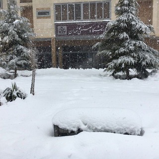 Telegram profile photo for گروه دانشگاه صنعتی همدان