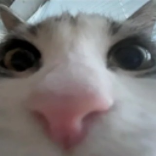 Telegram profile photo for ШведВыключено