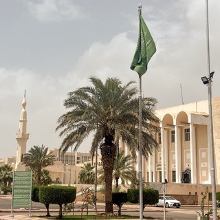 Telegram profile photo for tоlibah notes