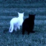 Telegram profile photo for момептов