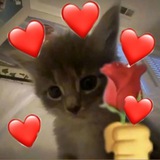 Telegram profile photo for Портфолье Эвки