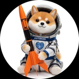 Telegram profile photo for ALPHA3 🐶🚀The Asteroid Shiba Rocket