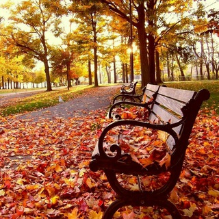 Telegram profile photo for خزان🍁