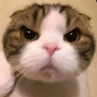 Telegram group profile photo for π π π π ππ