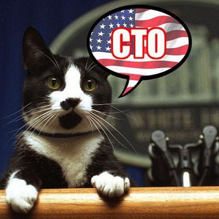 Telegram profile photo for Political Cat CTO Portal