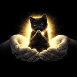 Telegram profile photo for پنجههای مهربان🐾