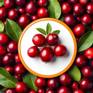 Telegram profile photo for Дары леса Хабаровск