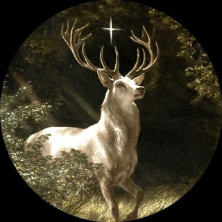 Telegram profile photo for Sancta sanctorum /архив/