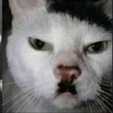 Telegram profile photo for вандервафля
