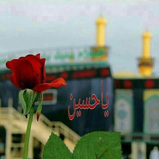 Telegram profile photo for تدبروا في دينكم