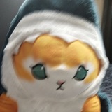 Telegram profile photo for 乂Котяра Крутой乂