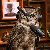 Telegram profile photo for CORUJA TÓXICA