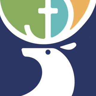 Telegram profile photo for Турцентр Гродно