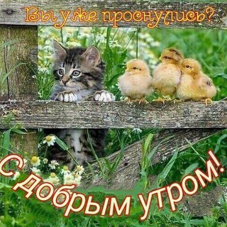 Telegram profile photo for Картинки, гифки, открытки