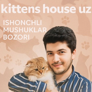 Telegram profile photo for 🐈⬛ Kittens House Uz | Мушуклар бозори (расмий канали) 🐾