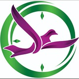 Telegram profile photo for Channel 2016
