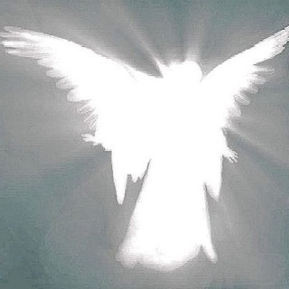 Telegram profile photo for Саман