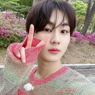 Telegram profile photo for meowon (closed)