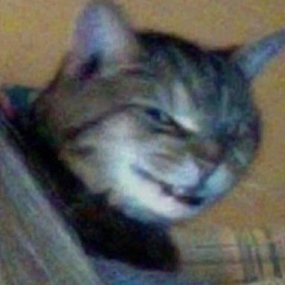 Telegram profile photo for ˗ˏˋ Роня опять онлайн ˎˊ˗