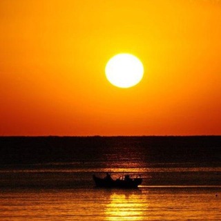 Telegram profile photo for 阳光出海新账号更新频道