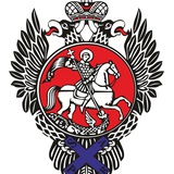 Telegram profile photo for Ассоциация Витязей Воронеж