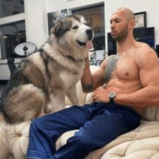 Telegram profile photo for $APOLLO