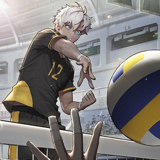 Telegram profile photo for The spike! Volleyball News