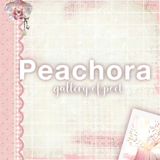 Telegram profile photo for ֹ ²⁶ peachora. bloom—flower, ..🪷