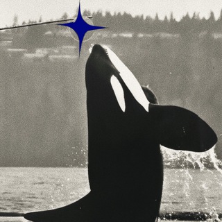 Telegram profile photo for orca (Хадичани коробкаси)