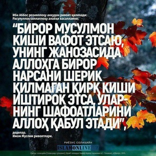Telegram profile photo for НАМАНГАН ЖАНОЗА NAMANGAN JANOZA | РАСМИЙ